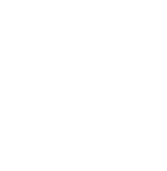 Steven Truong - Multimedia Developer